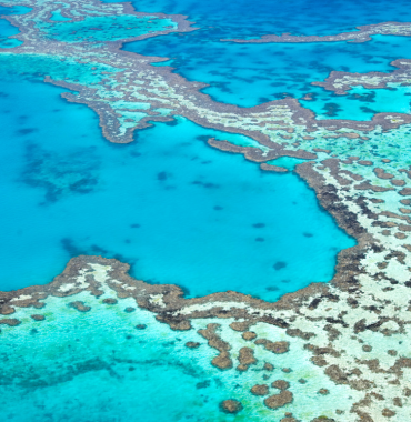 Great Barrier Reef Marine Park Discovering Destinations 370 x 380