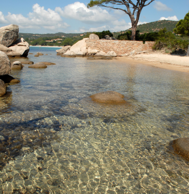 Palombaggia Beach - Discovering Destinations