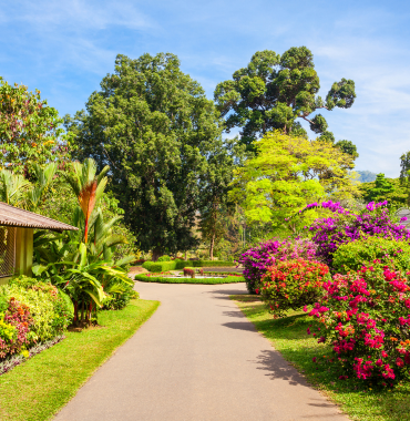 Phantasea Tropical Botanical Garden Discovering Destinations 1