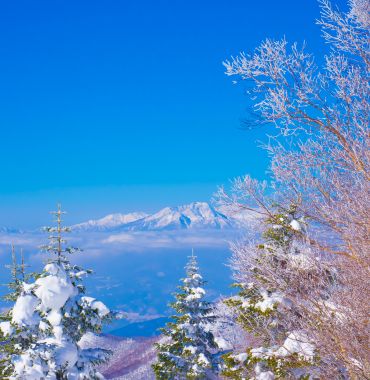 Shiga Kogen Japan - Discovering Destinations