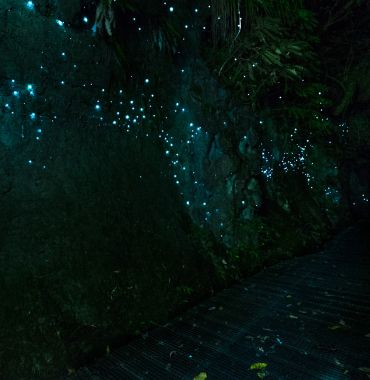 Waitomos Underground Glowworm Caves New Zealand Discovering Destinations 370 x 380