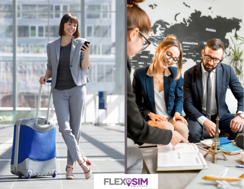 FLEXeSIM for Work or Business